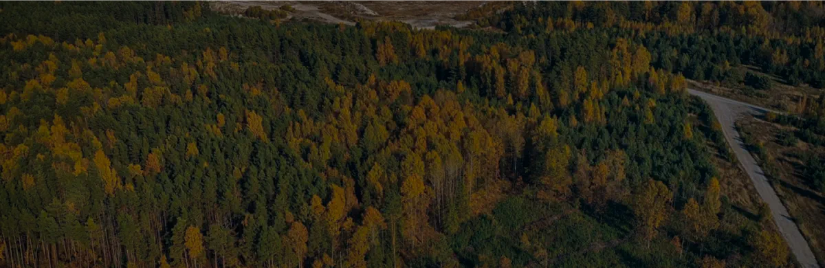 kirana megatara website forest banner